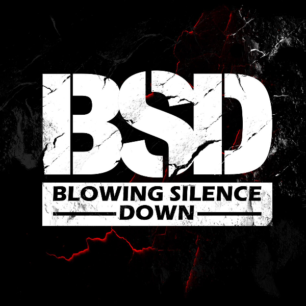 Photo de profil de Blowing Silence Down