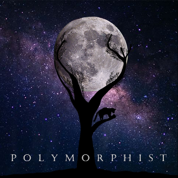 Photo de profil de Polymorphist