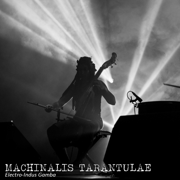 Photo de profil de MACHINALIS TARANTULAE